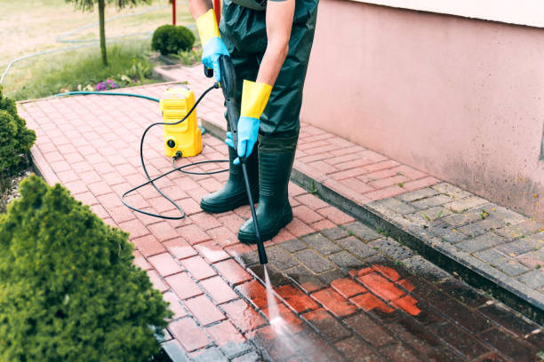 Best Animal Enclosure Cleaning  in Edisto, SC